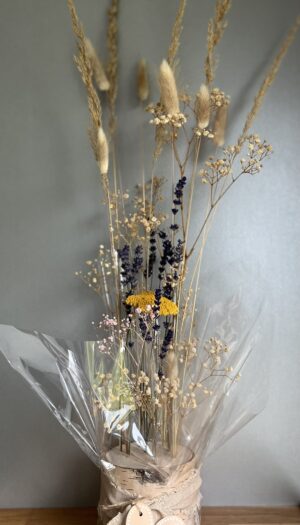 Summer Composition SF-L18