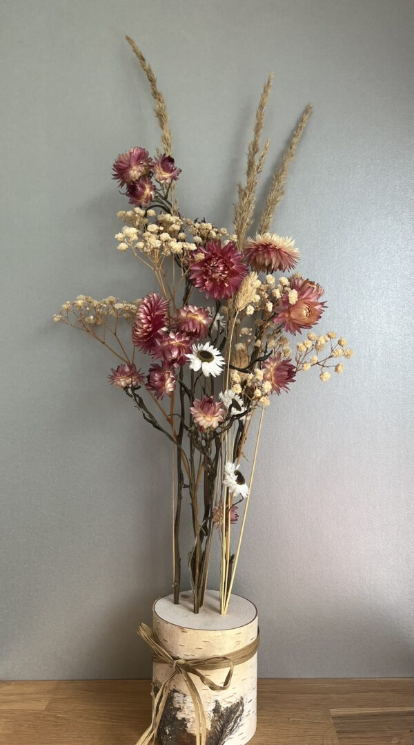 Spring Breeze SF-L20