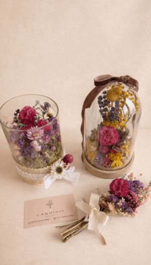 Glass Dome / Glass Jar